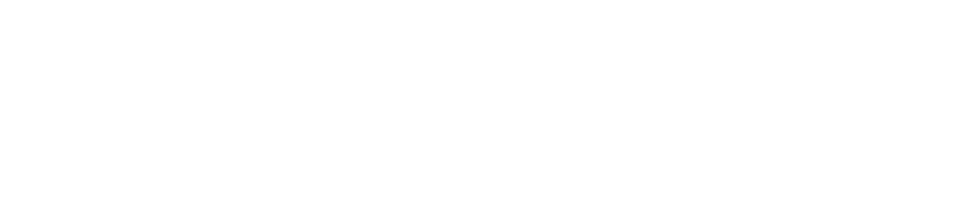 Lizzin